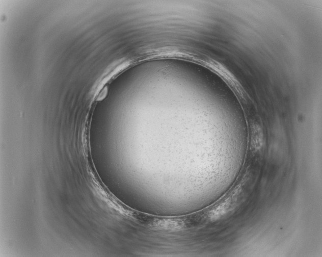 X0000060800806200511141438