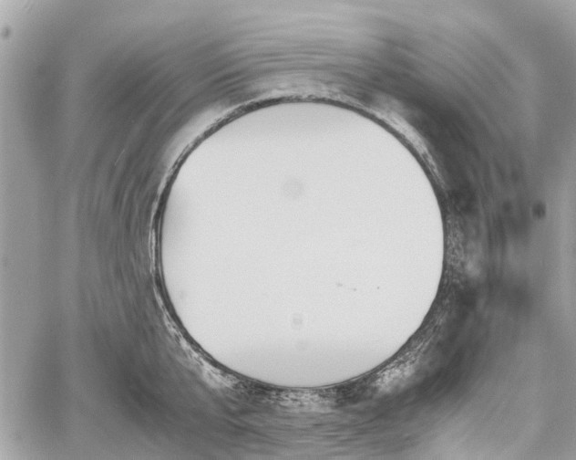 X0000060800807200511141438