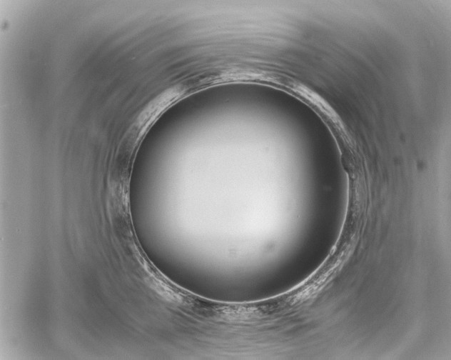 X0000060800809200511141438