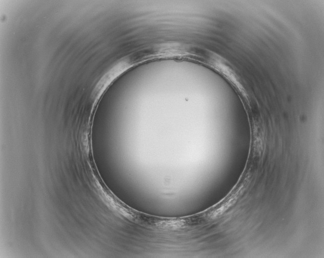 X0000060800810200511141438