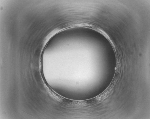 X0000060800811200511141438