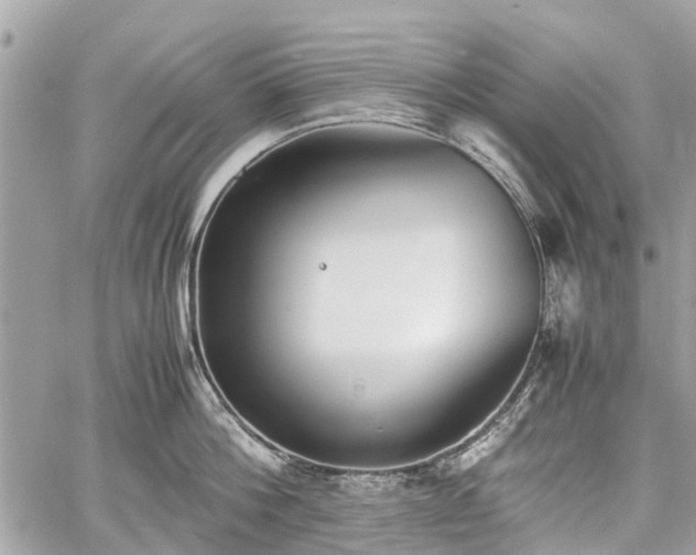 X0000060800812200511141438