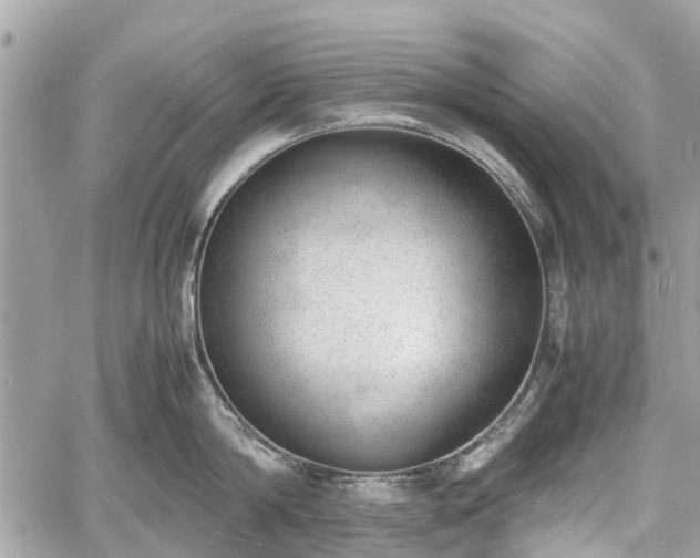 X0000060800814200511141438