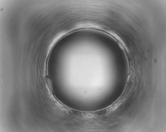 X0000060800815200511141438