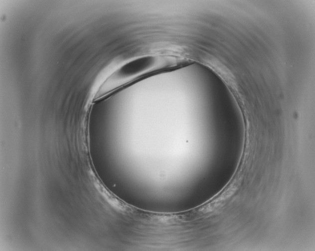 X0000060800816200511141438