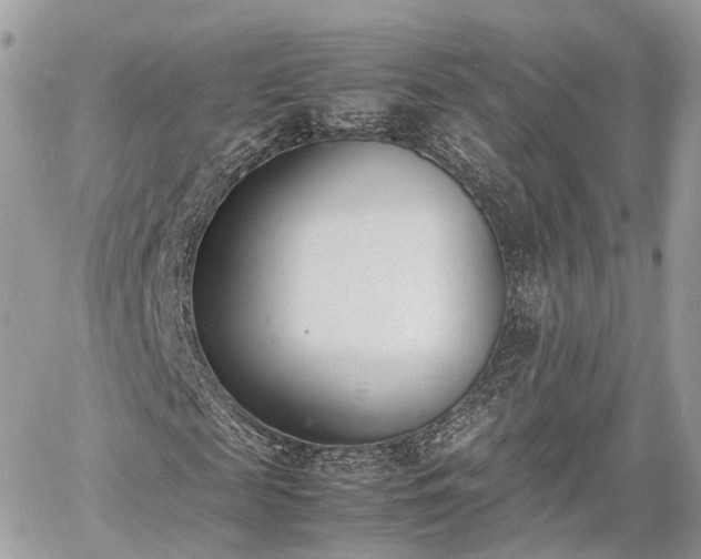 X0000060800817200511141437