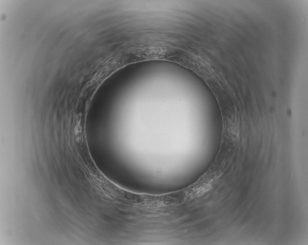 X0000060800818200511141437