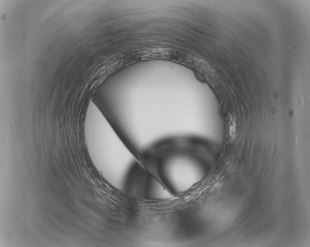 X0000060800819200511141437