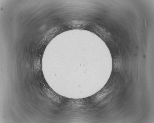 X0000060800820200511141437