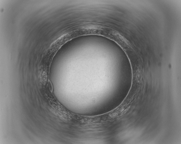 X0000060800821200511141437