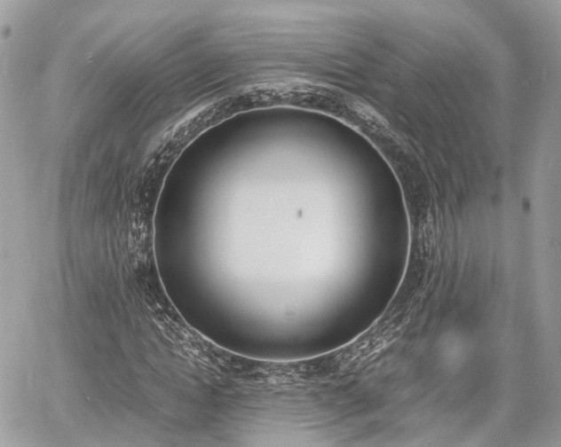 X0000060800822200511141437