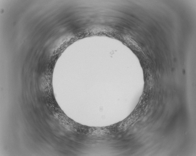 X0000060800824200511141437