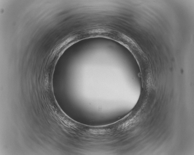 X0000060800825200511141437