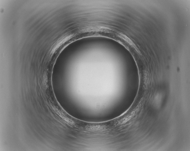 X0000060800826200511141437