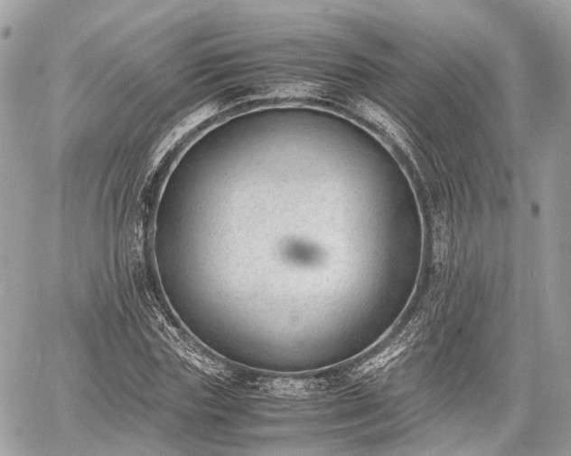 X0000060800827200511141437