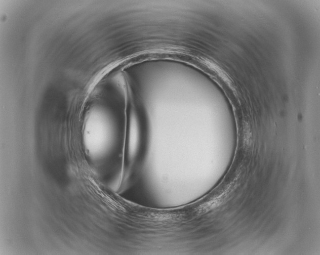 X0000060800829200511141437