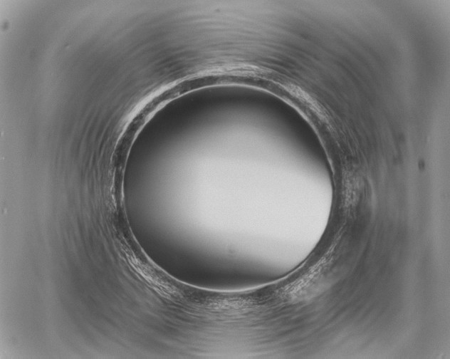 X0000060800830200511141437