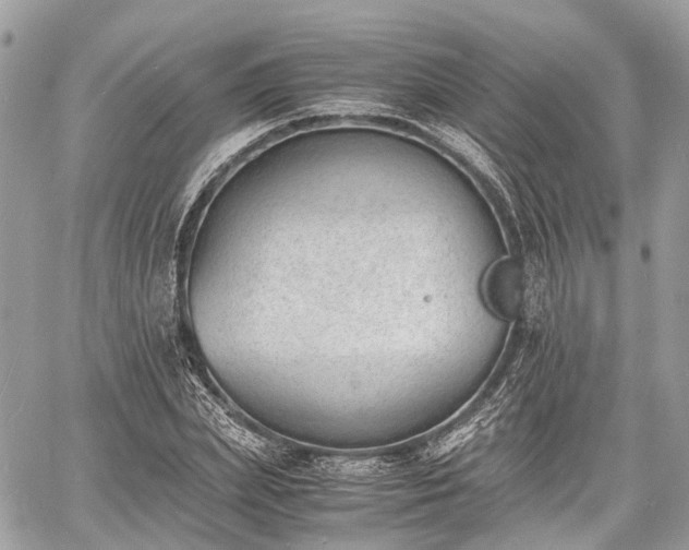 X0000060800831200511141437