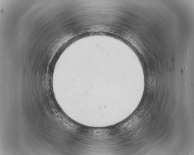 X0000060800832200511141437