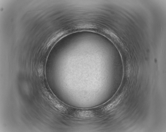 X0000060800833200511141437