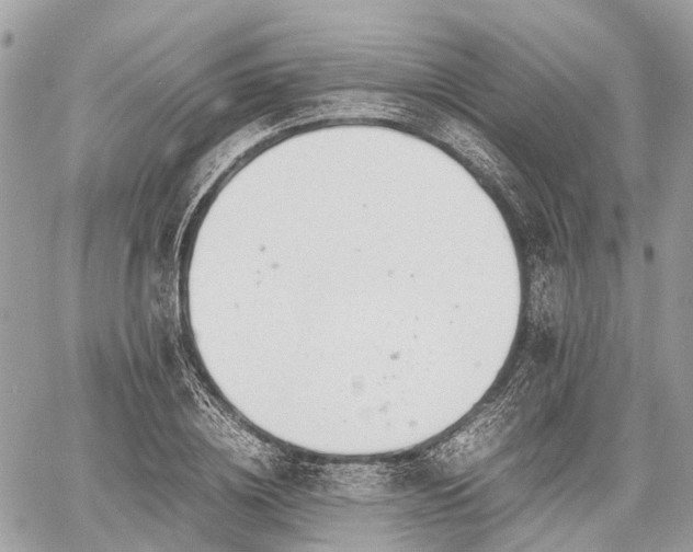 X0000060800836200511141438