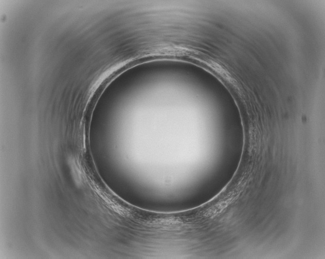 X0000060800838200511141438