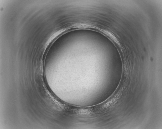 X0000060800839200511141438