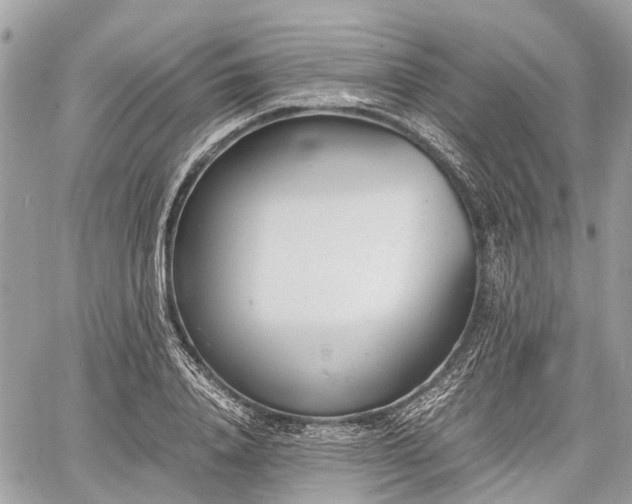 X0000060800840200511141438