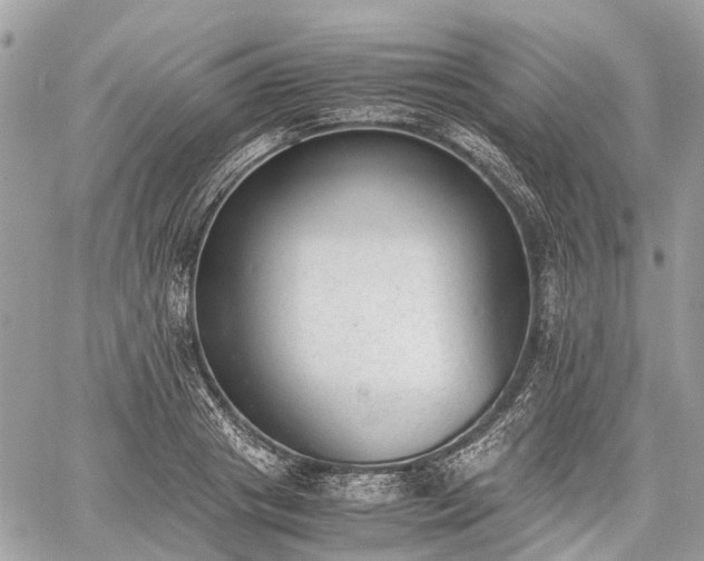 X0000060800841200511141438