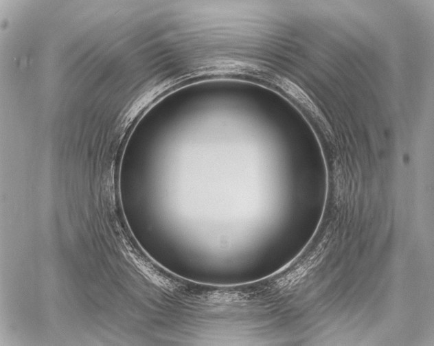 X0000060800842200511141438