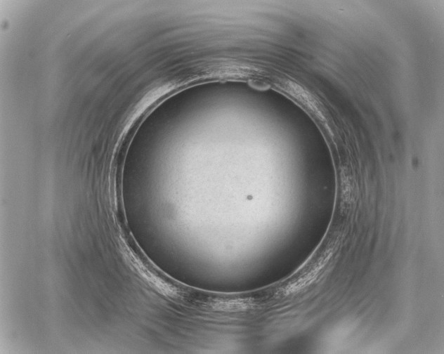 X0000060800843200511141438