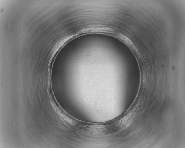 X0000060800844200511141438