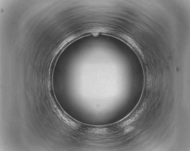 X0000060800845200511141438