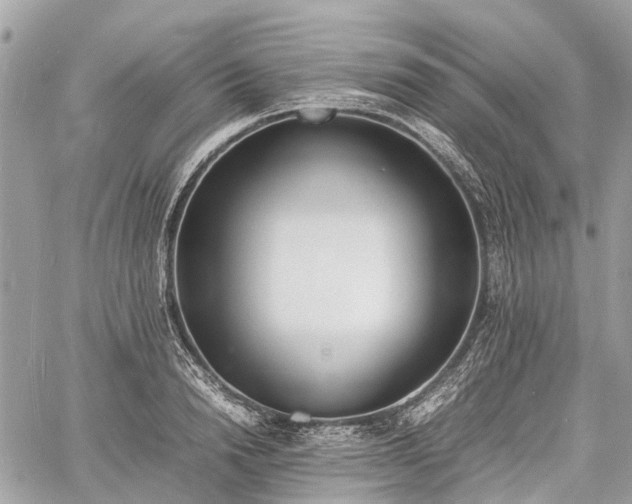 X0000060800846200511141438