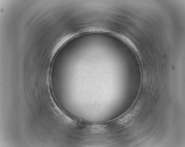 X0000060800847200511141438