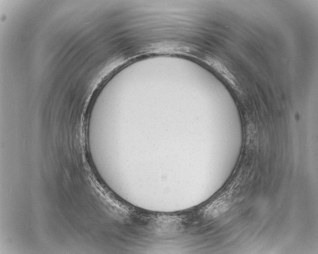 X0000060800848200511141438