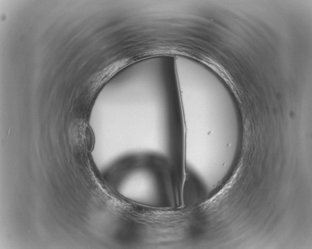 X0000060800849200511141438