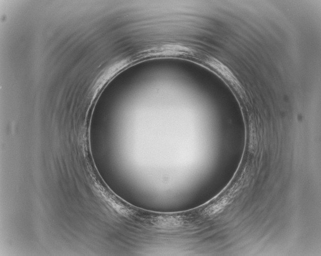 X0000060800850200511141438