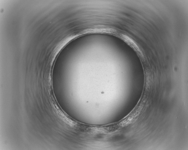 X0000060800852200511141438