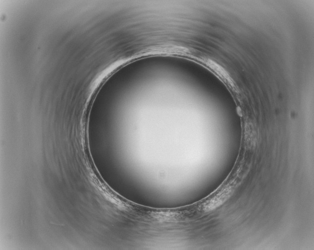 X0000060800854200511141438