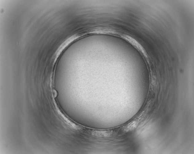 X0000060800855200511141438