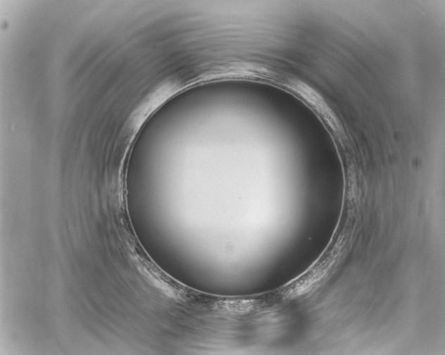 X0000060800858200511141438