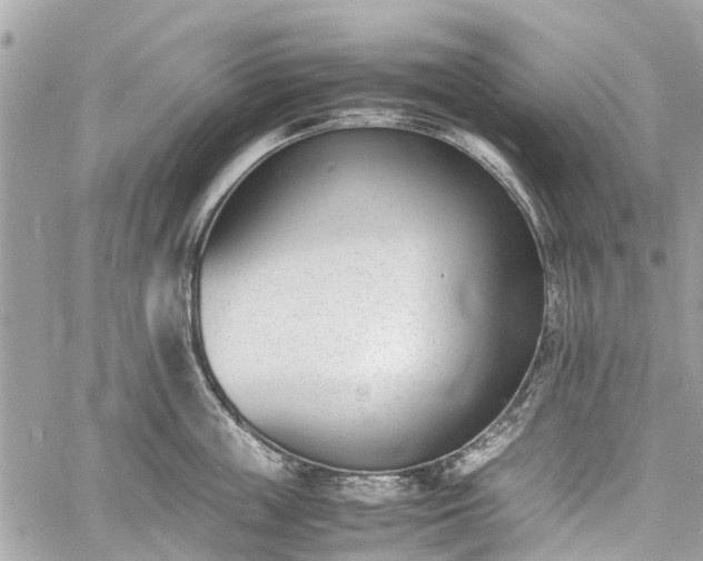 X0000060800859200511141438