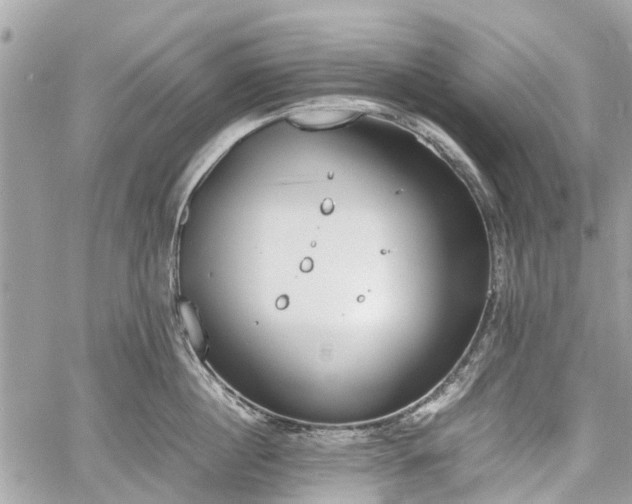 X0000060800860200511141438