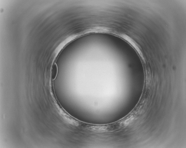 X0000060800861200511141438