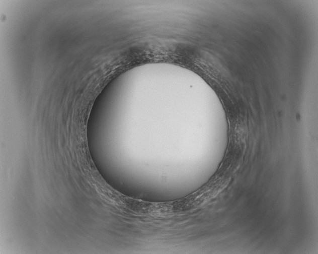 X0000060800865200511141437