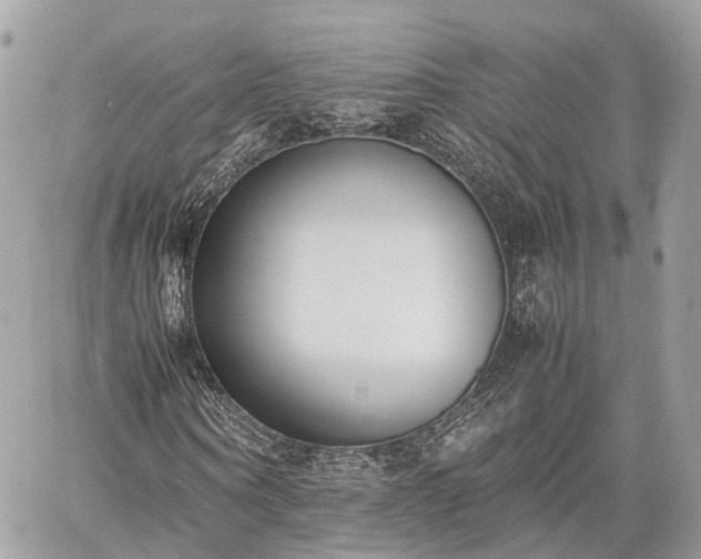 X0000060800866200511141437