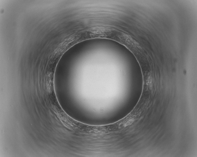 X0000060800868200511141437