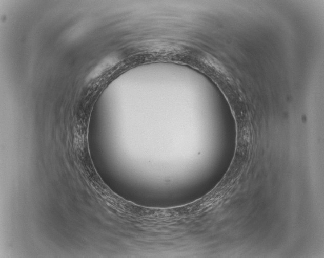 X0000060800869200511141437