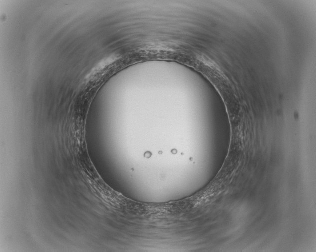 X0000060800870200511141437